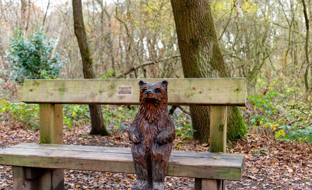 Photo of Risley Moss Local Nature Reserve