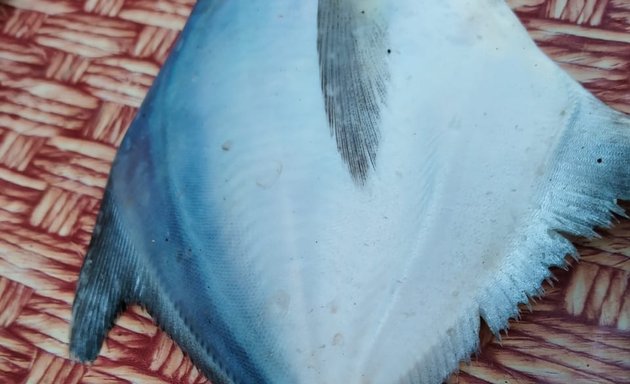 Photo of Deadliest Catch Sea Food