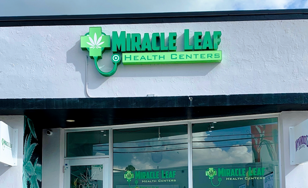 Photo of Miracle Leaf