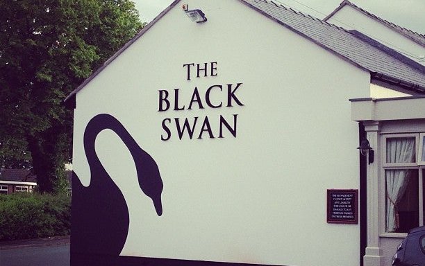 Photo of The Black Swan