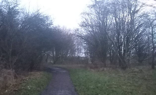 Photo of North Blackpool Pond Trail