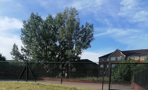 Photo of Outdoor Gym