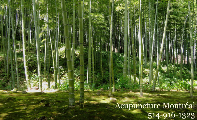 Photo of Acupuncture & Massothérapie Montréal, Saint-Laurent