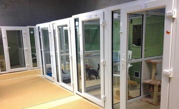 Photo of Kelcliffe Cattery