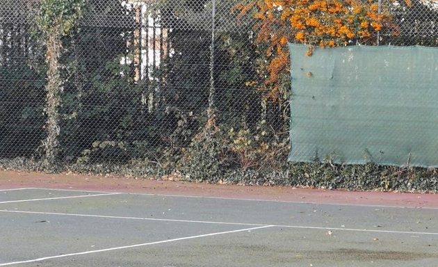 Photo of Hylands Park Tennis Court