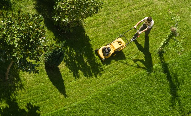 Photo of BA's Lawn Care