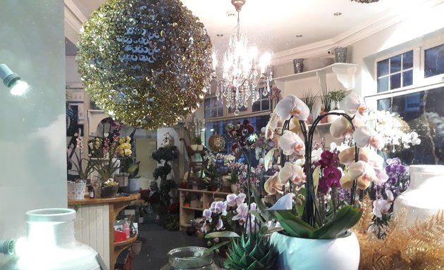 Photo of Floral Decor Limited