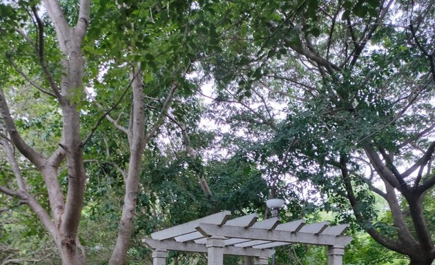 Photo of HSR 22A Main Tree Park