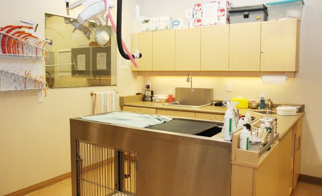 Photo of South Burnaby Veterinary Hospital