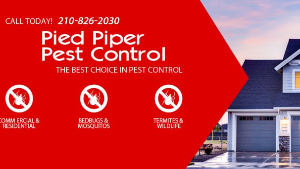 Photo of Pied Piper Pest Control