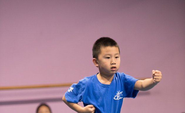 Photo of Wayland Li Martial Arts Centre 李文启武术学院