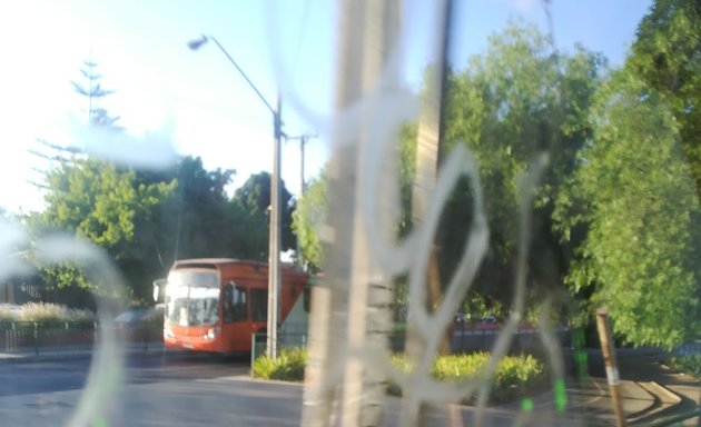 Foto de Parque Pajaritos