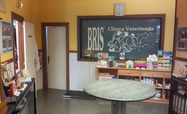 Foto de Bris Clínica Veterinaria- Albaitari Klinika
