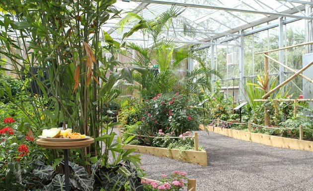 Photo of Horniman Butterfly House