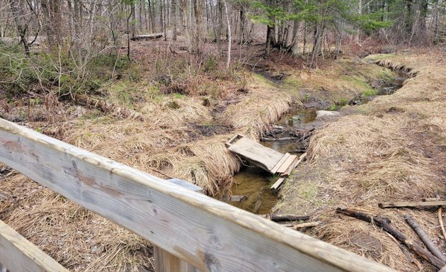 Photo of Parc de l'Épilobe