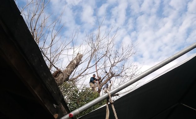 Photo of Suarez Tree Service