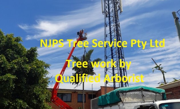 Photo of NJPS Tree Service
