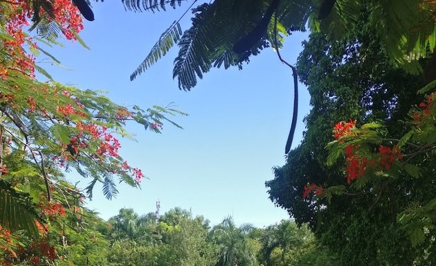 Foto de Federación Dominicana de Tenis