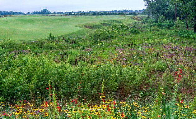 Photo of Trinity Forest Golf Course