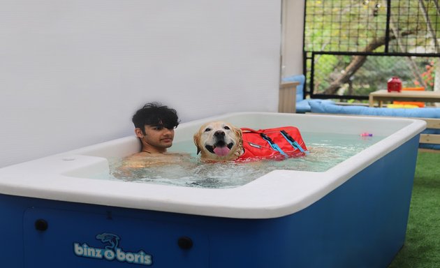 Photo of Binz & Boris readymade pools