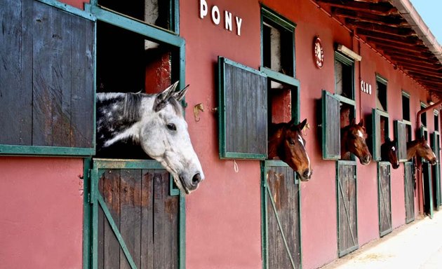 foto Roma Pony Club