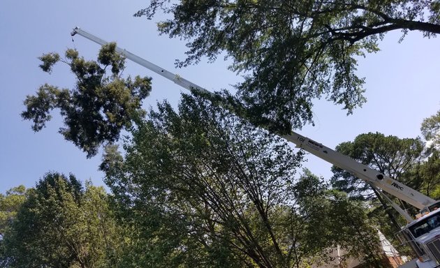 Photo of Jones Tree Service