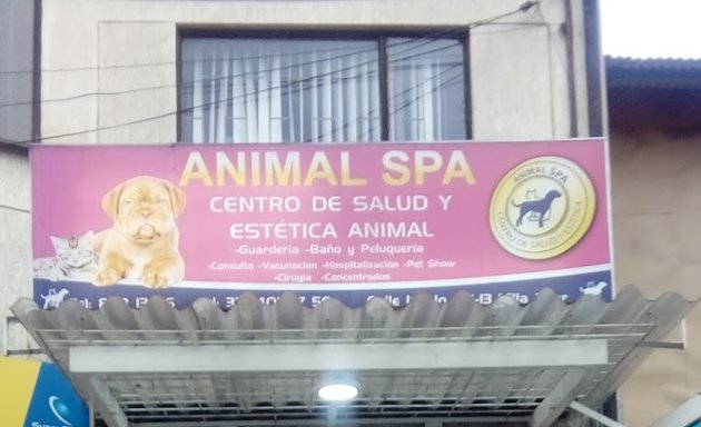 Foto de Animal Spa