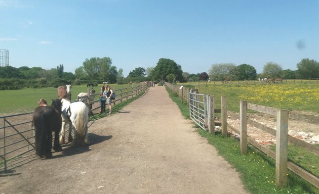 Photo of Lower Morden Equestrian Centre