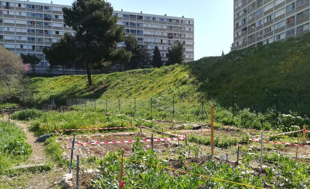 Photo de Jardin partagé du Parc Kallisté (Accueil et Rencontres)