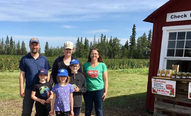 Photo of Horse Hill Berry Farm