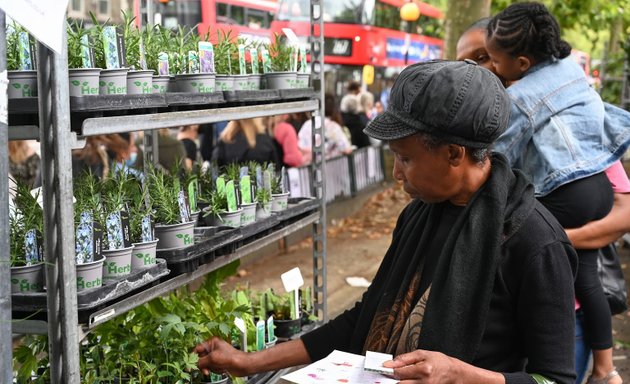 Photo of Chiswick Flower Market