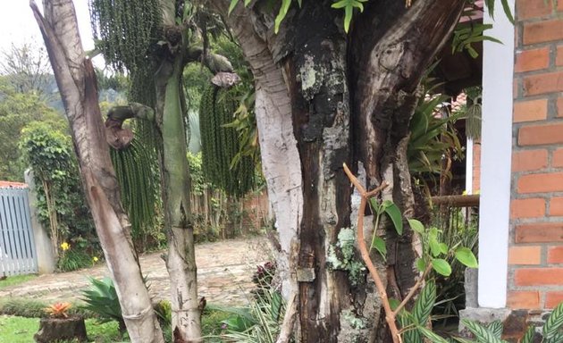 Foto de Ave del Paraíso (Taller de Cerámica, Vivero, Huerta y Laboratorio Cultural)