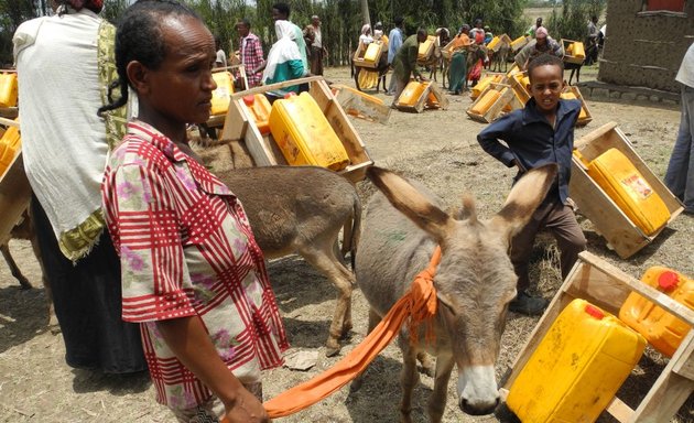 Foto von WasserStiftung