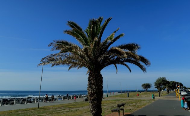 Photo of Mouille Point Park