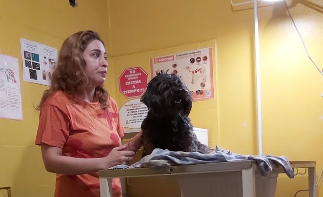 Foto de Pet Center