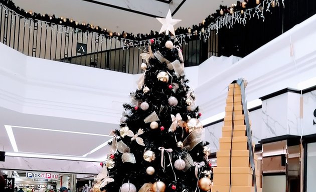Photo of Trendy Trees - Christmas tree hire & sale