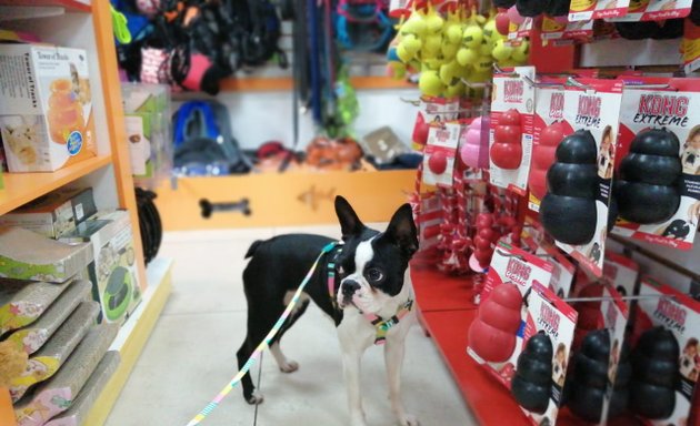 Foto de Club de Perros y Gatos Tienda Mac Iver