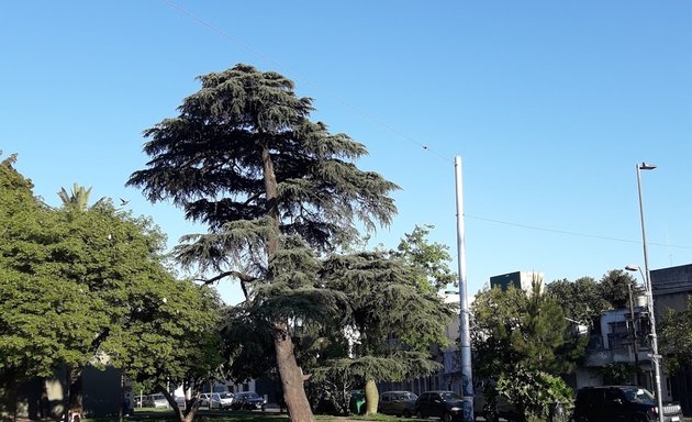 Foto de Plaza Eloy Palacios