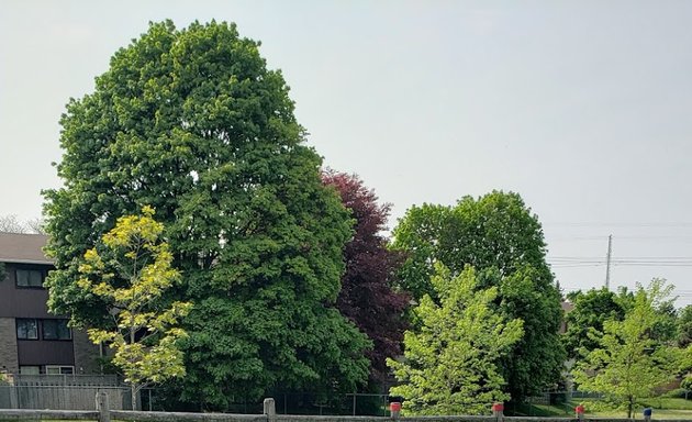 Photo of Botany Hill Park