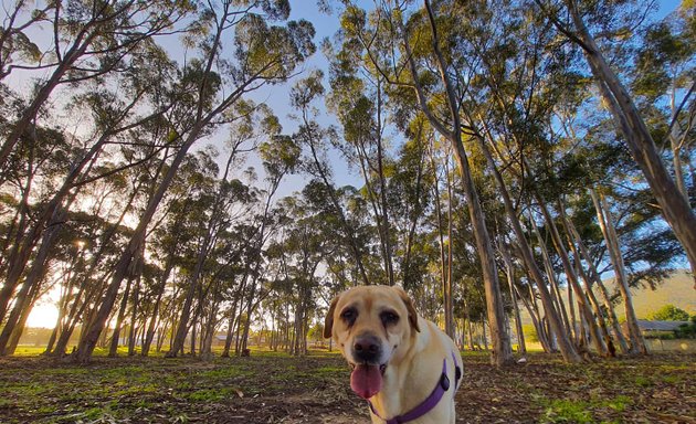 Photo of Jan Cilliers Park