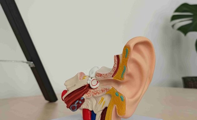 Photo of SINE Ear Care
