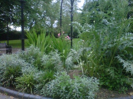 Photo of Market Road Gardens