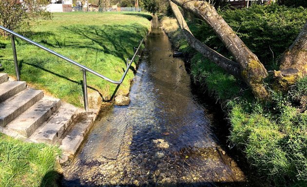 Foto von Kneippkur am Bach