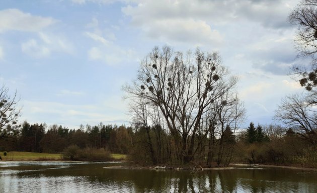 Foto von Friedhof Park