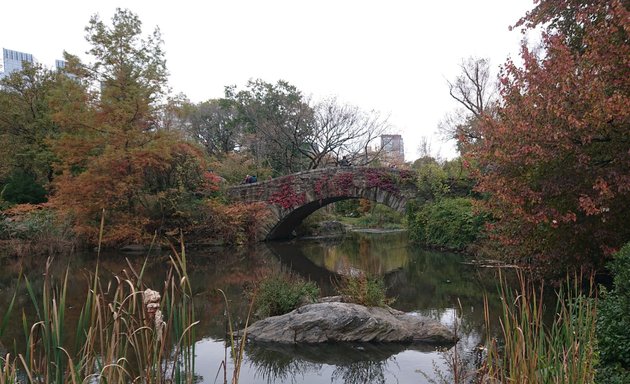 Photo of Gapstow Bridge