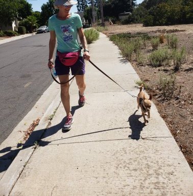 Photo of Pooch Patrol