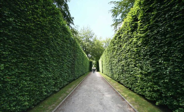 Photo of Turning Leaf Tree Service - Calgary Arborists