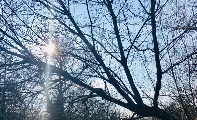 Photo of Ladywell Fields Adventure Playground