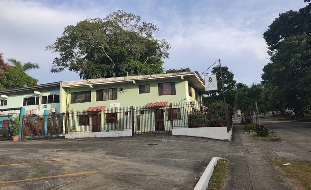 Foto de Brinkman & Asociados Reforestadores de Centro America, S.A.