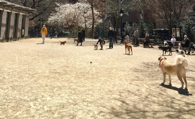 Photo of Washington Square Park